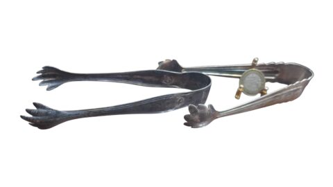 Par de pegadores com garras espessurados a prata