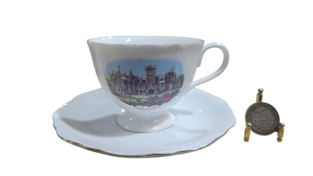 Xícara de chá porcelana canadense