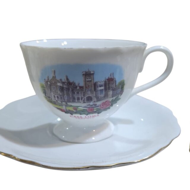 Xícara de chá porcelana canadense