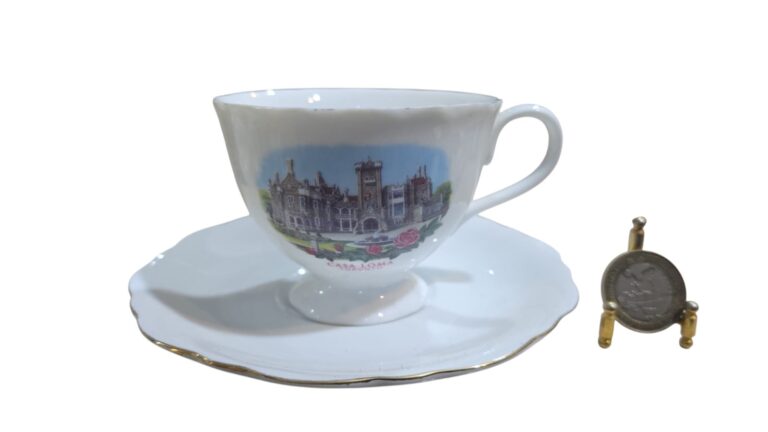 Xícara de chá porcelana canadense