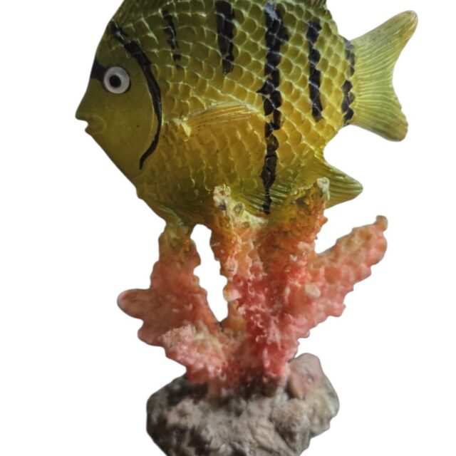 Peixe de resina com belo coral