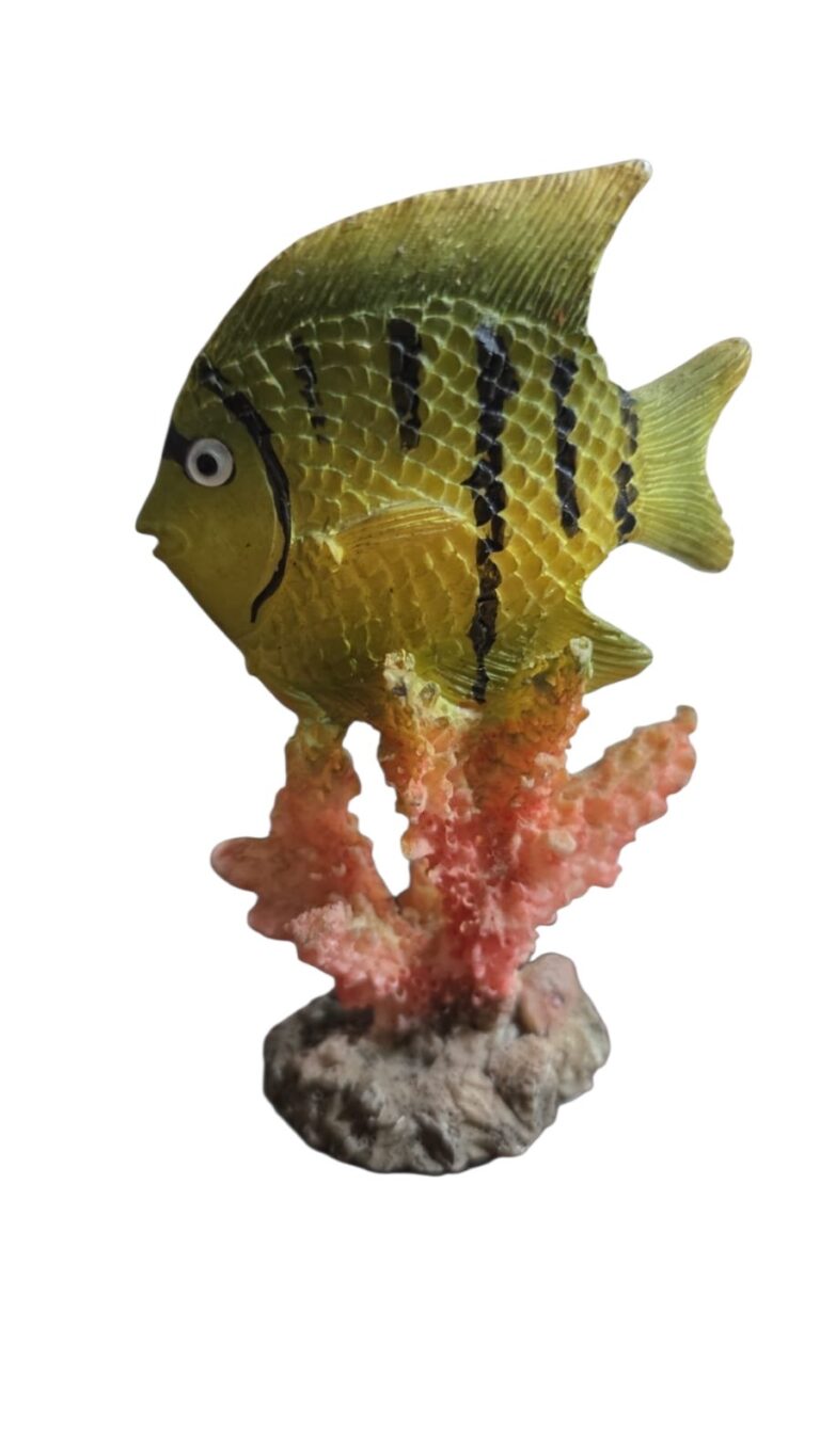 Peixe de resina com belo coral