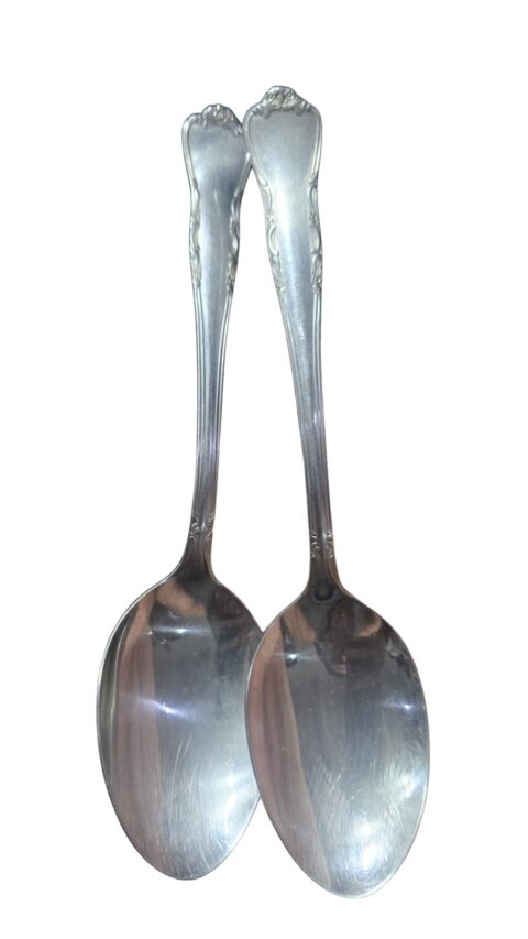 Par de colheres grandes Hércules inox