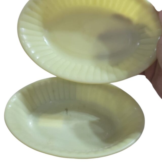 Par de travessas de plástico
