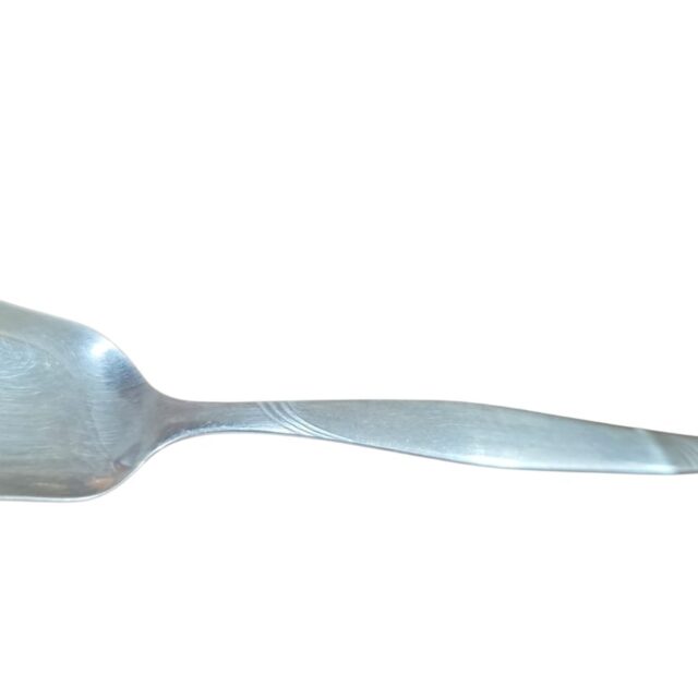 Colher de açúcar Hércules inox