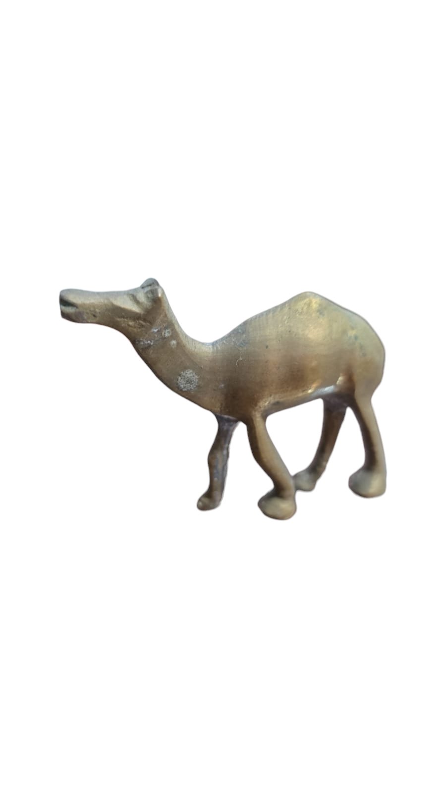 Dromedário de bronze