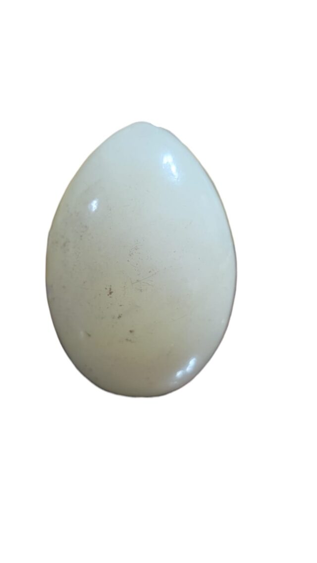 Belo ovo de pedra, provavelmente italiano