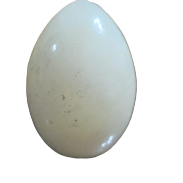 Belo ovo de pedra, provavelmente italiano