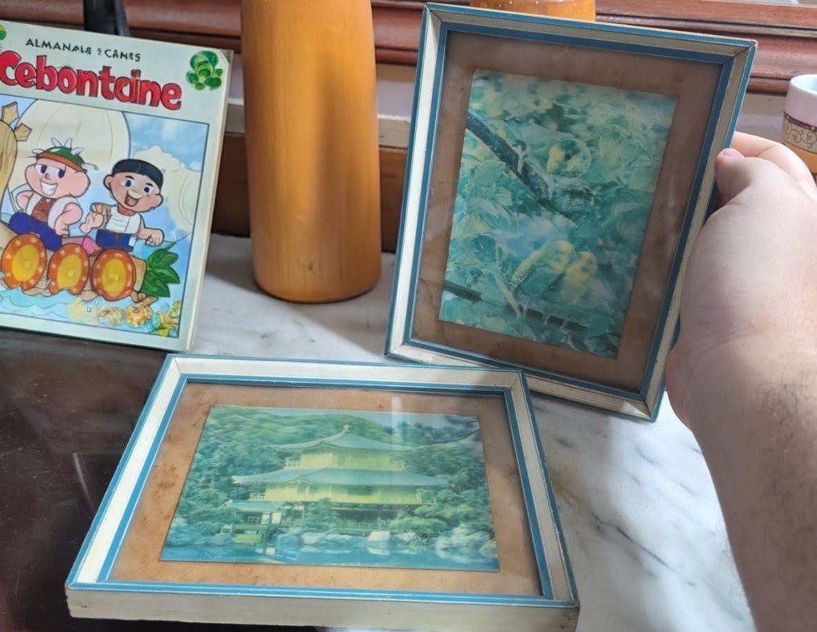 Par de quadros antigos com arte em 3D - Imagem 2