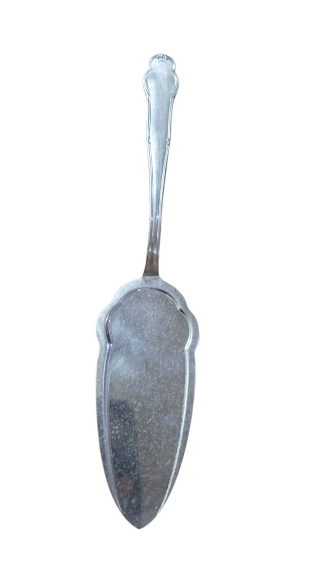 Espátula Hércules inox