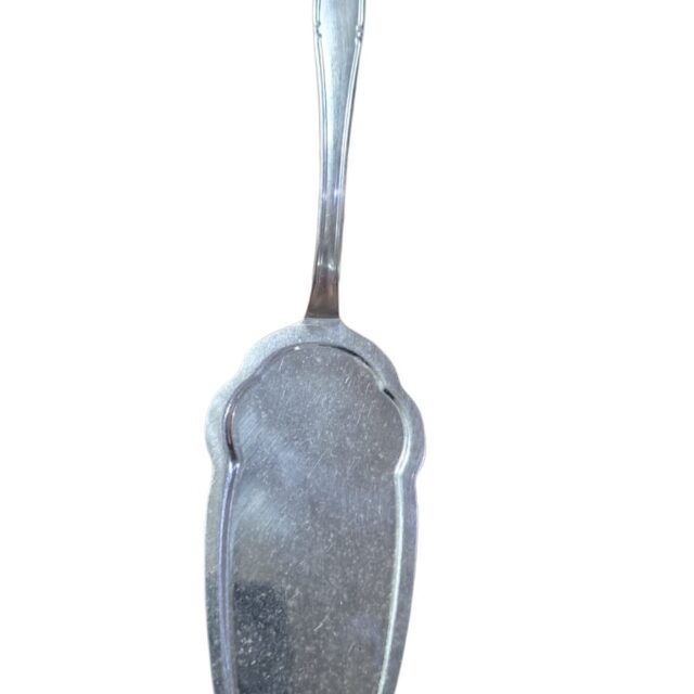 Espátula Hércules inox