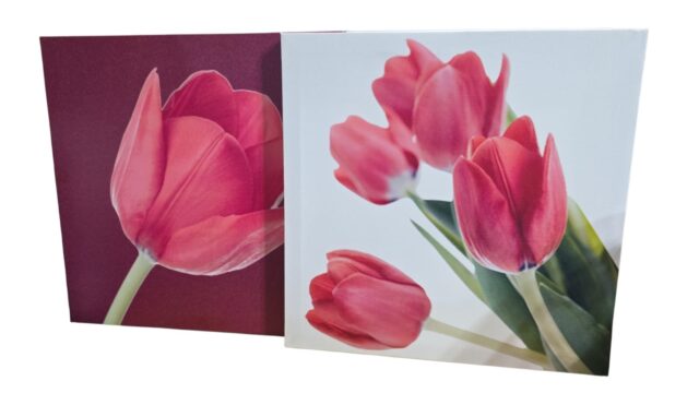 Par de quadros com lindas telas impressas com flores