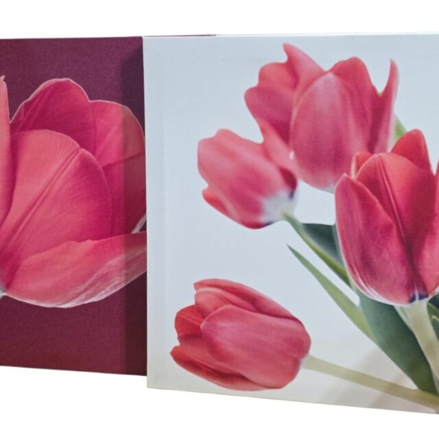 Par de quadros com lindas telas impressas com flores
