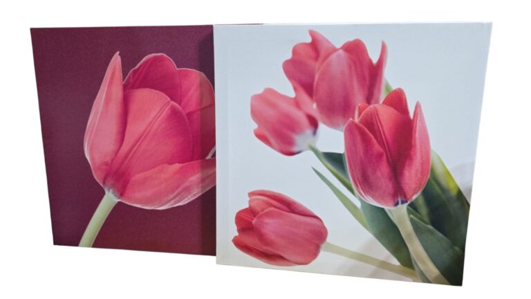 Par de quadros com lindas telas impressas com flores