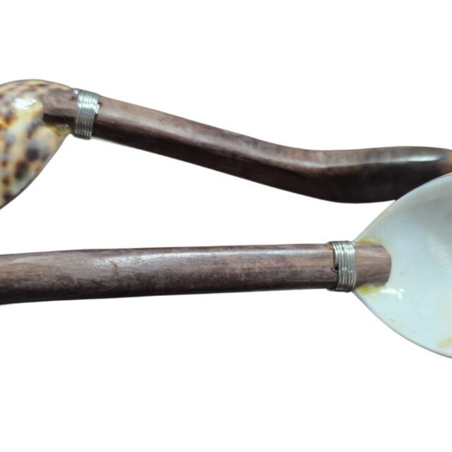 Colheres artesanais balinesas de concha e madeira. (valor unitário)