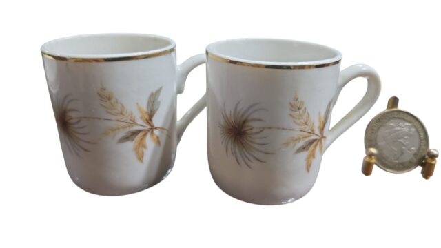 Xícaras de café porcelana Veracruz. (valor unitário)