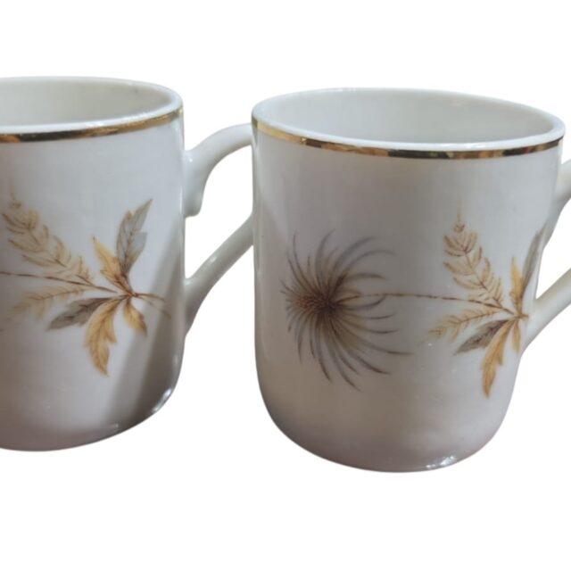 Xícaras de café porcelana Veracruz. (valor unitário)