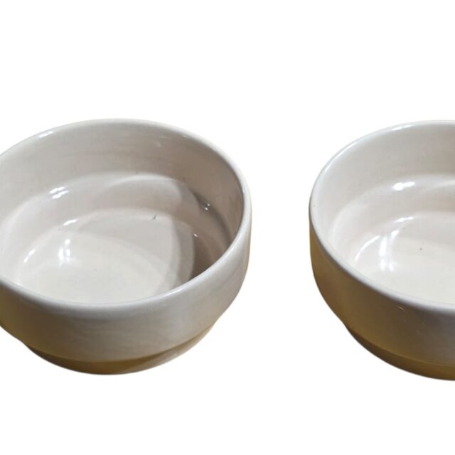 Par de bowls em porcelana