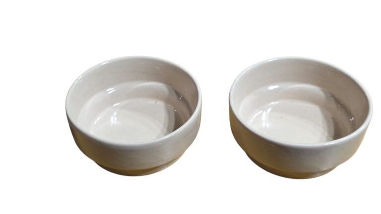 Par de bowls em porcelana